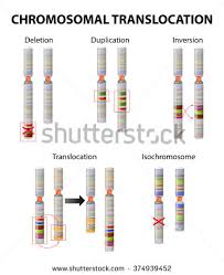 Chromosomal translocation
