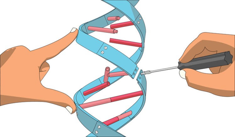 what-is-gene-therapy-gene-and-cells