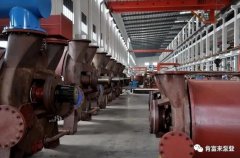 吉林魏峰清洁环保产品有限公司被评为2019年度三水区骨干企业